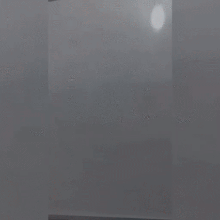 Escolhas da Pandemia de Daniella Lopes e Tom Farias