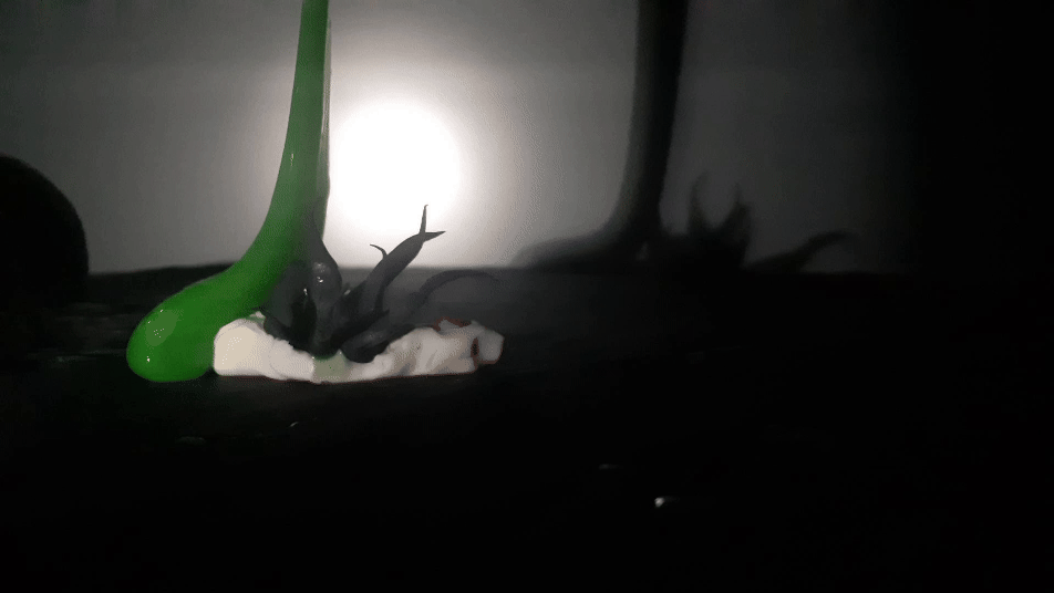 The Birth and Take of Rizoma