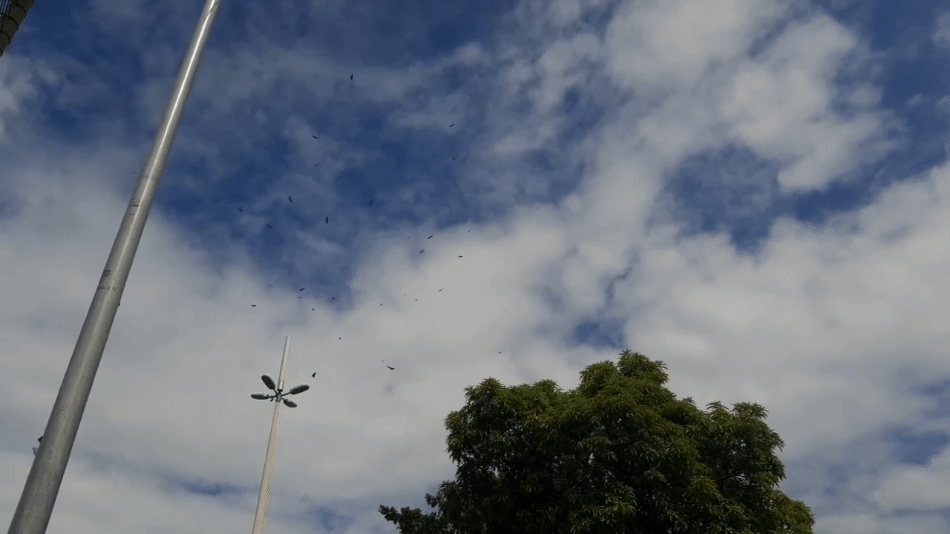 Imagens guardadas no bolso